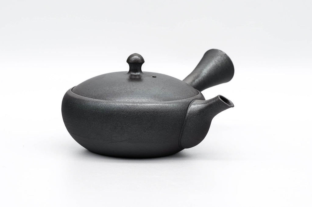 Takei-Kibutsu Stainless Steel Steel Kyusu Teapot 003759 - Globalkitchen  Japan